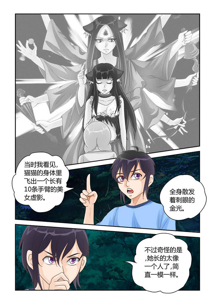 吾家猫猫大人漫画,第19章：明心见性3图