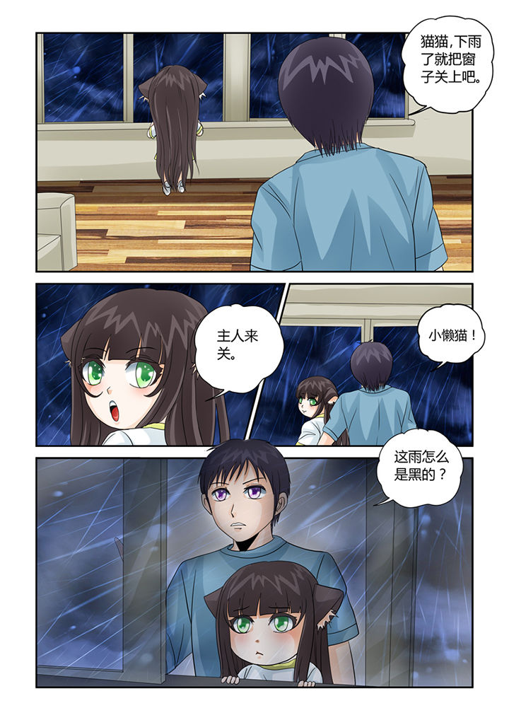 吾家猫猫大人漫画,第35章：血雨3图