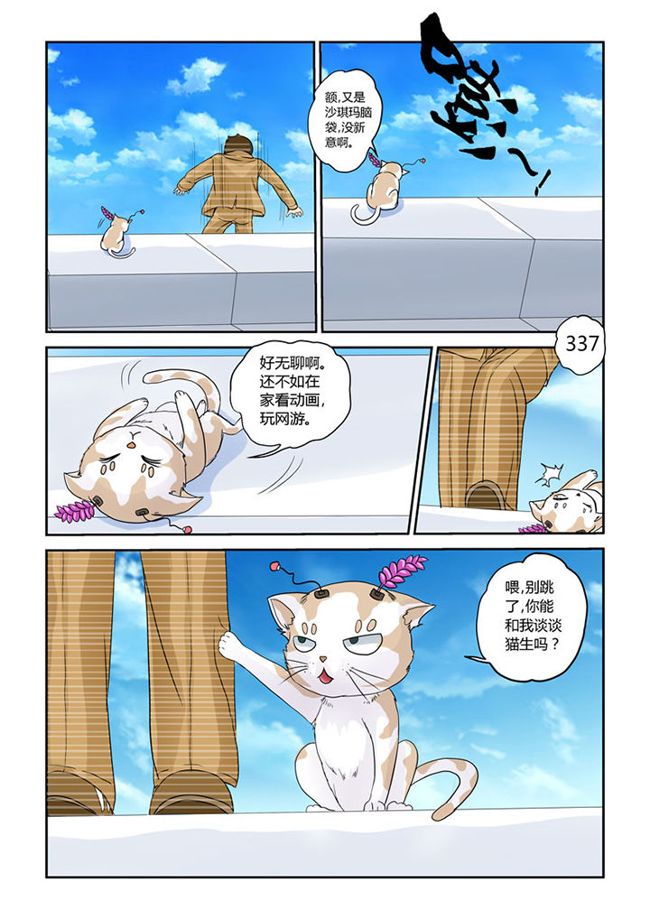 吾家猫猫大人漫画,第4章：猫猫丢了吗4图