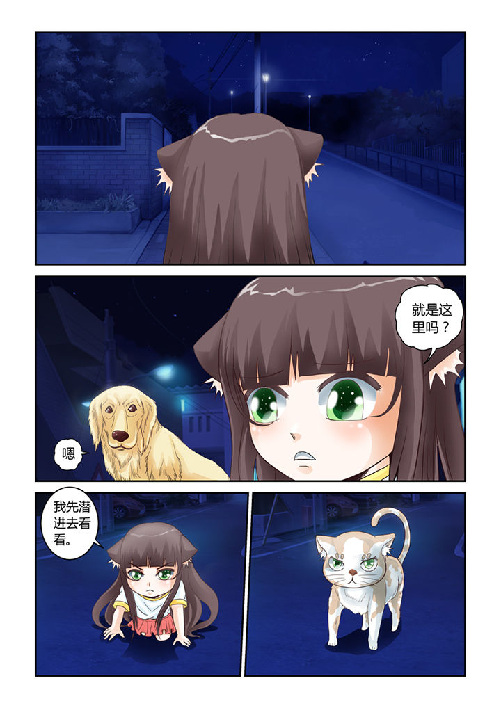 吾家猫猫大人漫画,第48章：屠戮（上）4图