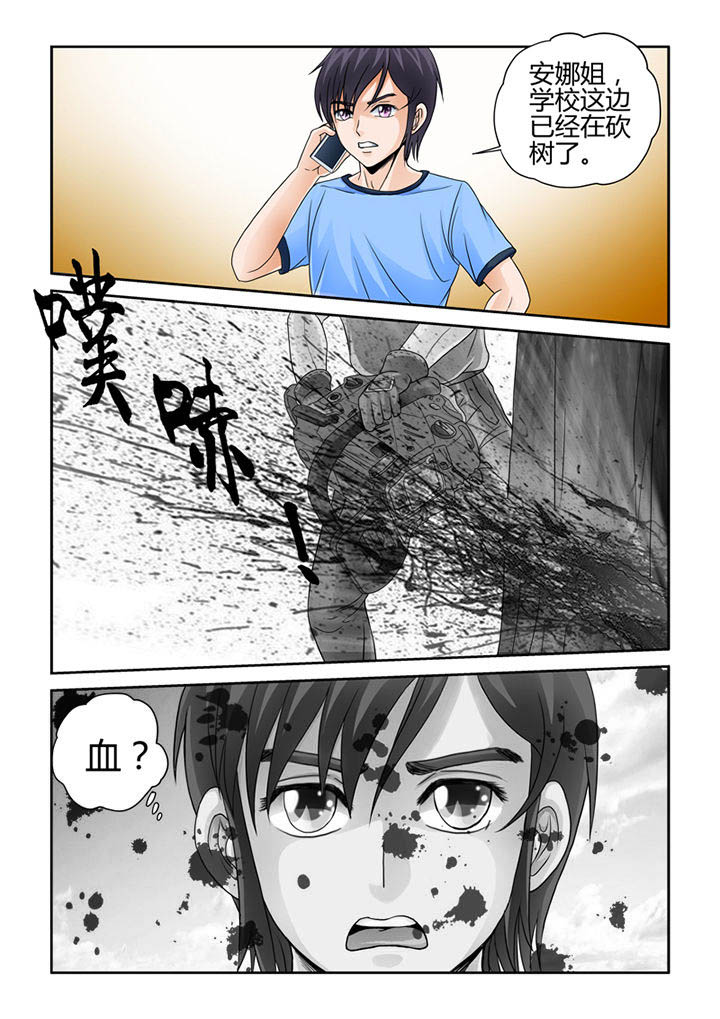 吾家猫猫大人漫画,第7章：初起风澜5图