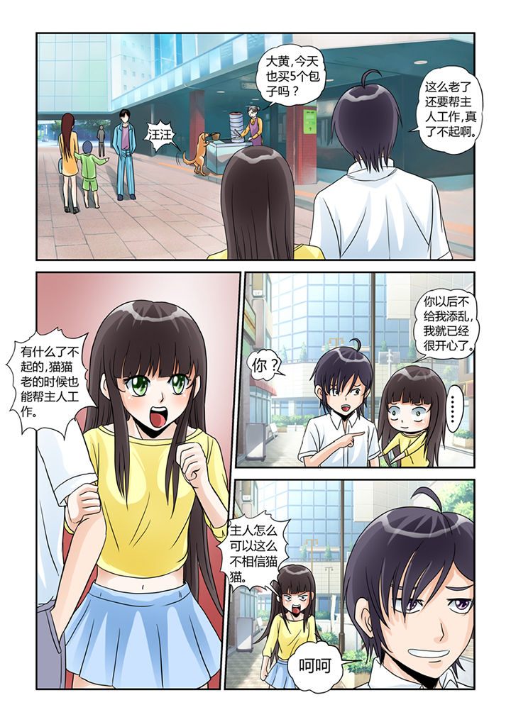 吾家猫猫大人漫画,第5章：买买买2图