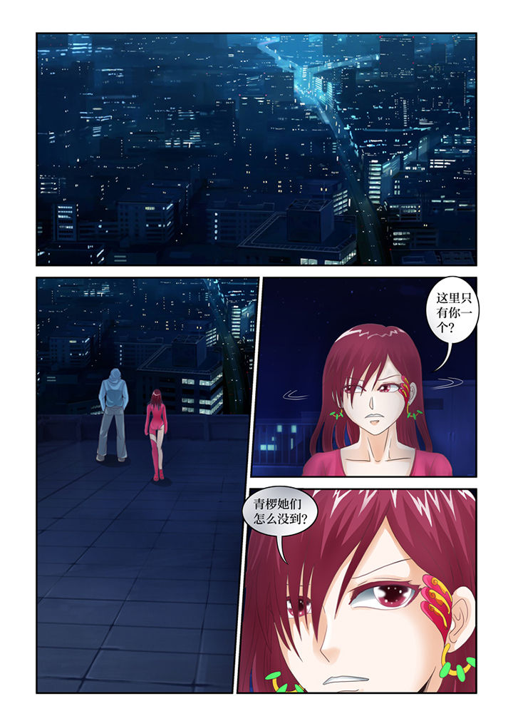 吾家猫漫画,第69章：混血乌鸦？1图