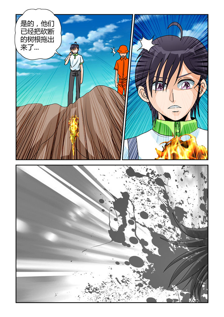 吾家猫猫大人漫画,第23章：误伤2图