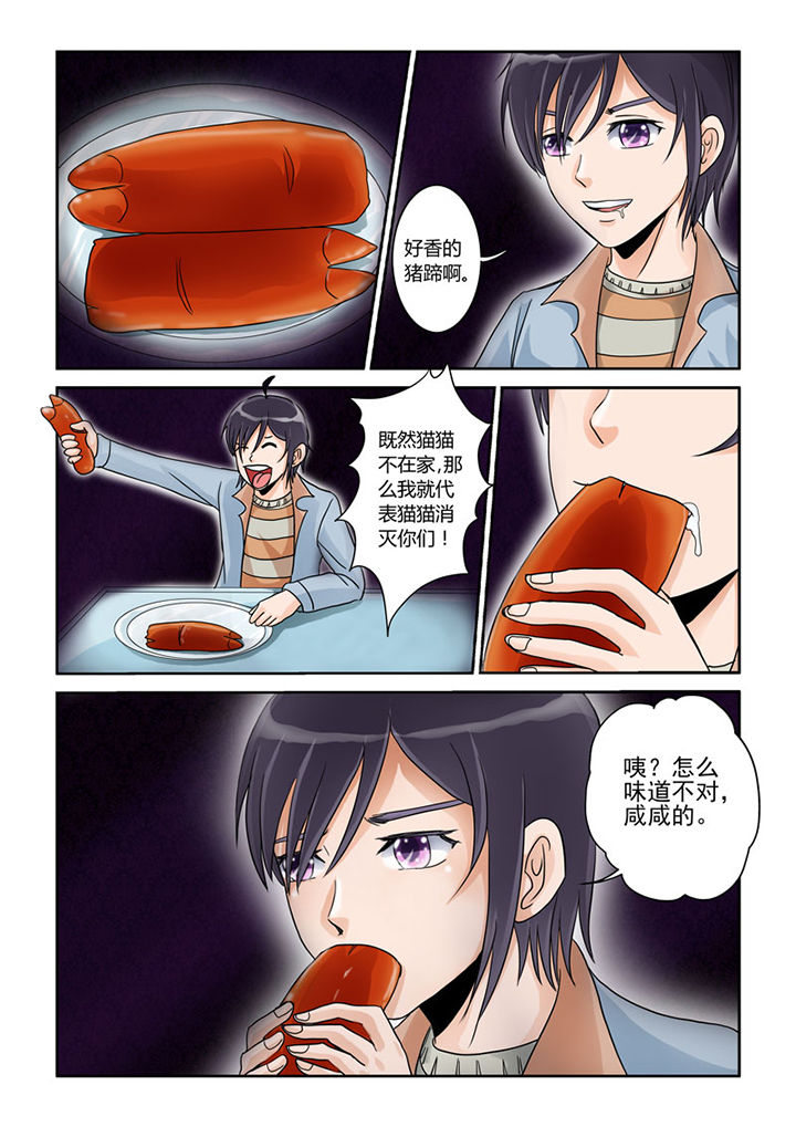 猫猫大人图片漫画,第1章：3图