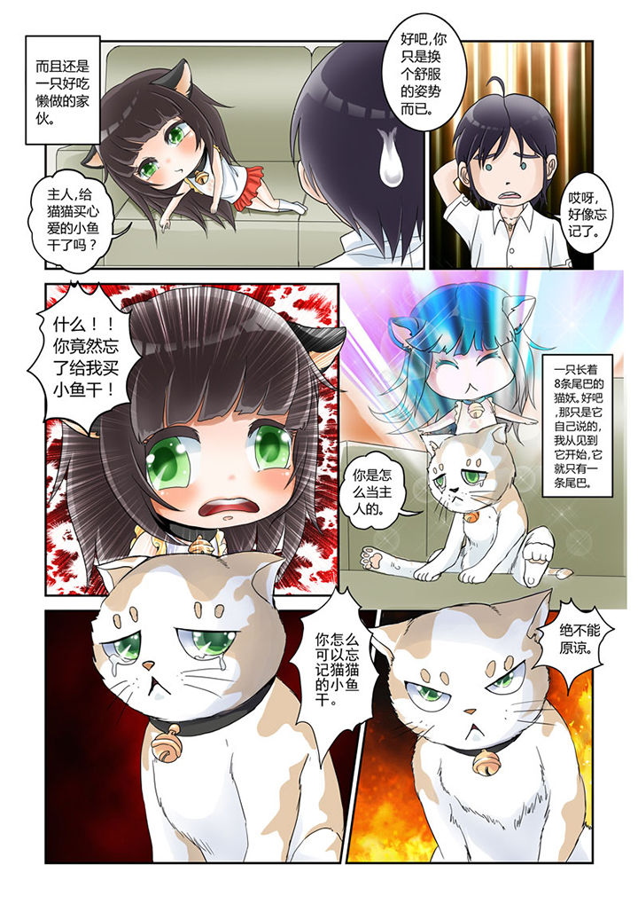 吾家猫猫大人漫画,第1章：4图