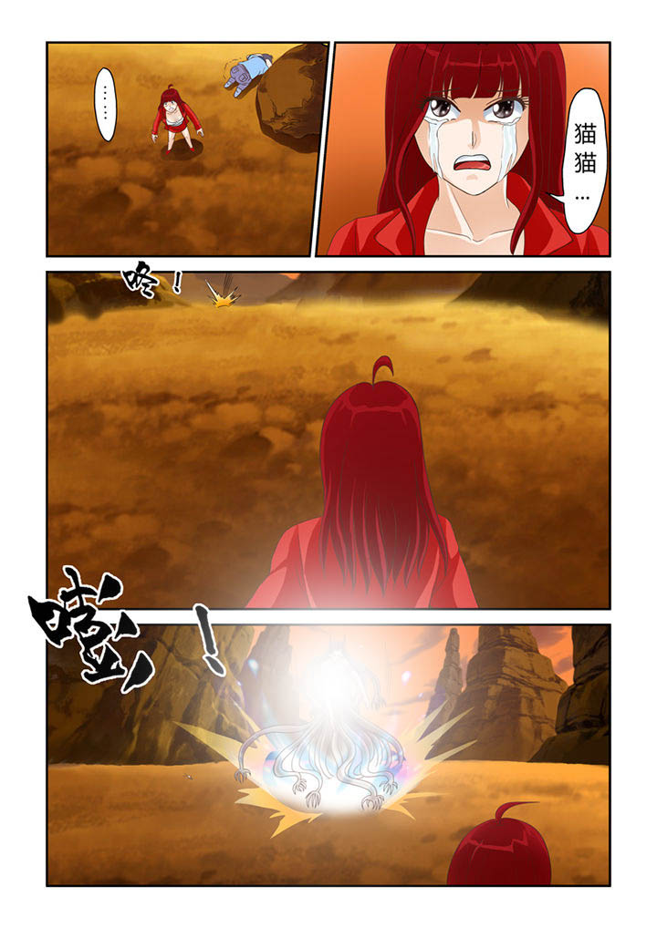 吾家猫猫大人漫画,第17章：猫猫的危机5图