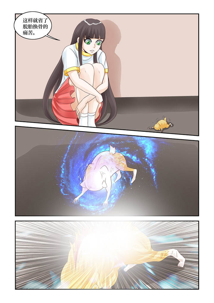 吾家猫猫大人漫画,第60章：化形3图