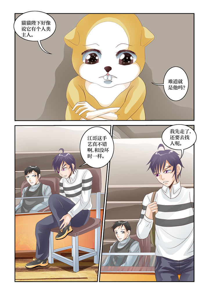 吾家猫猫大人漫画,第62章：误会2图