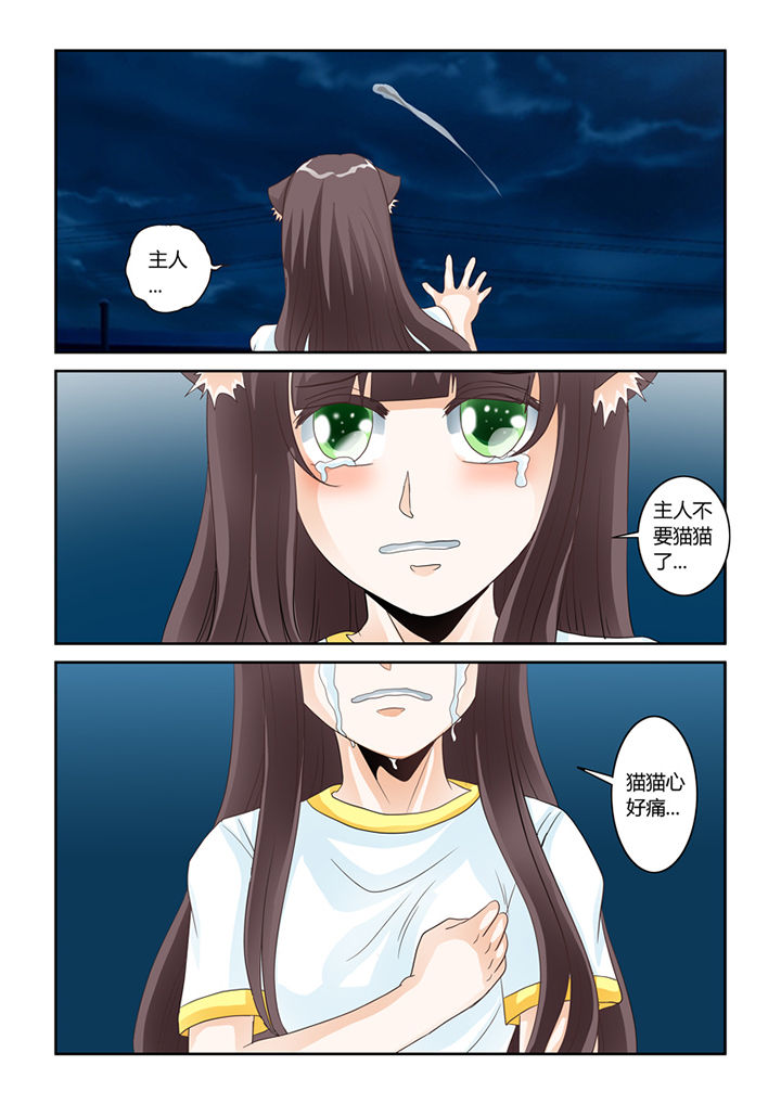 吾家猫猫大人漫画,第52章：我不要你了4图