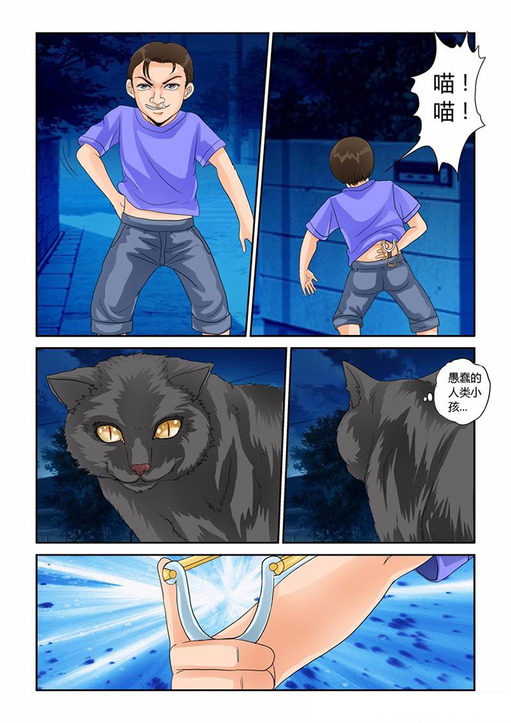 吾家猫猫大人漫画,第31章：业报3图