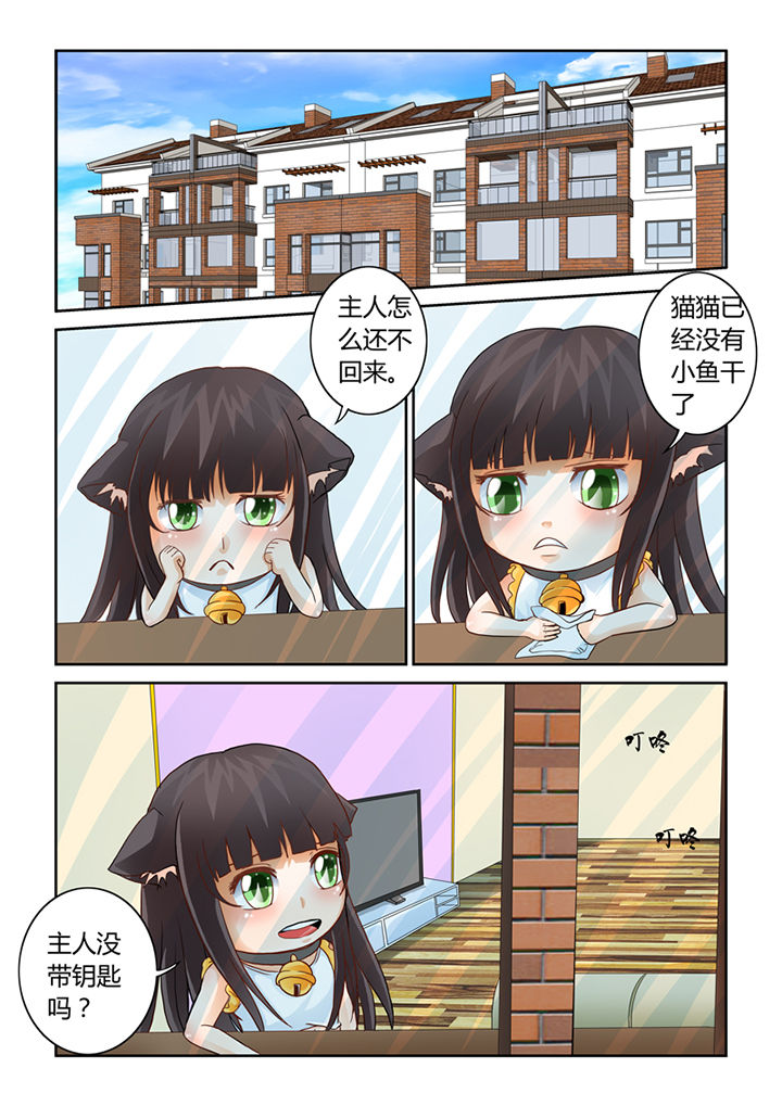 吾家猫猫大人漫画,第8章：被吞噬的魂魄3图