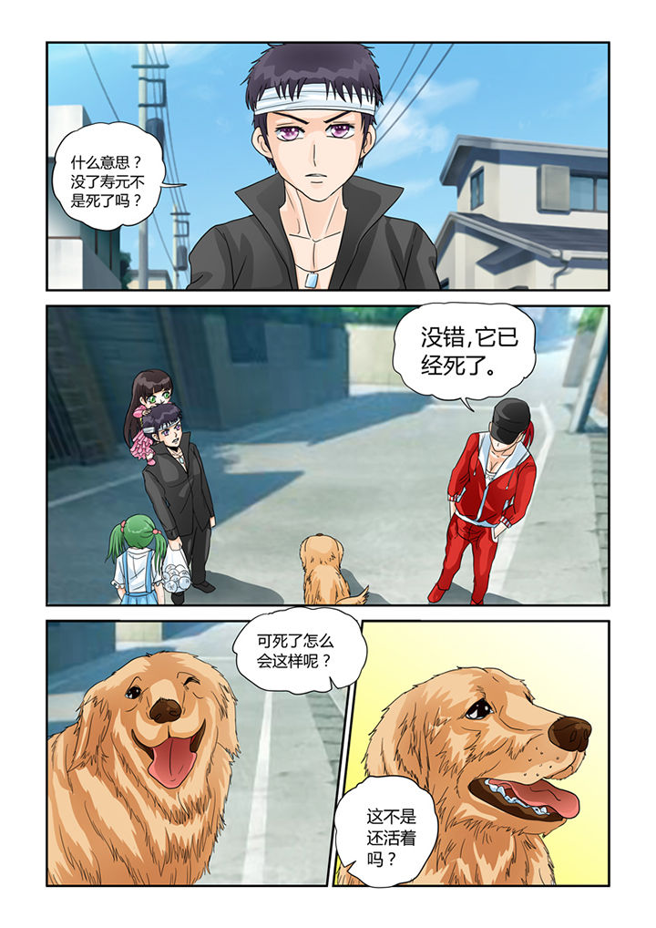 吾家猫猫大人漫画,第30章：同情4图