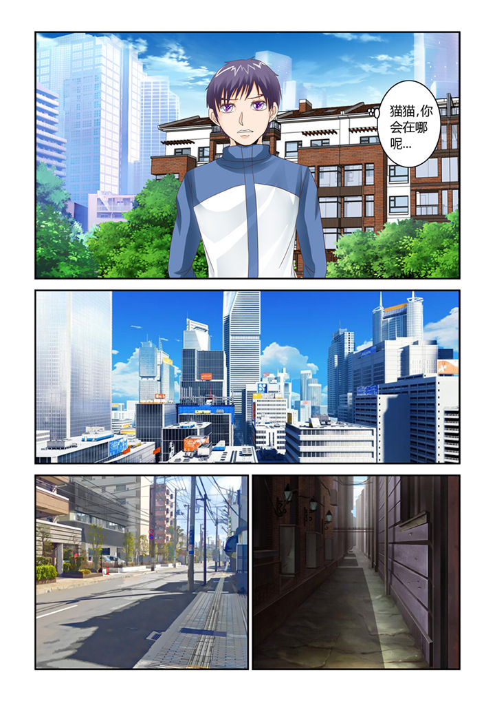 吾家猫猫大人漫画,第54章：流浪猫4图