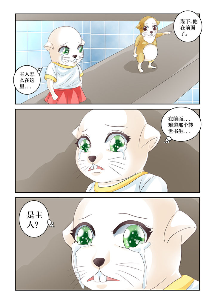 吾家猫猫大人漫画,第62章：误会1图