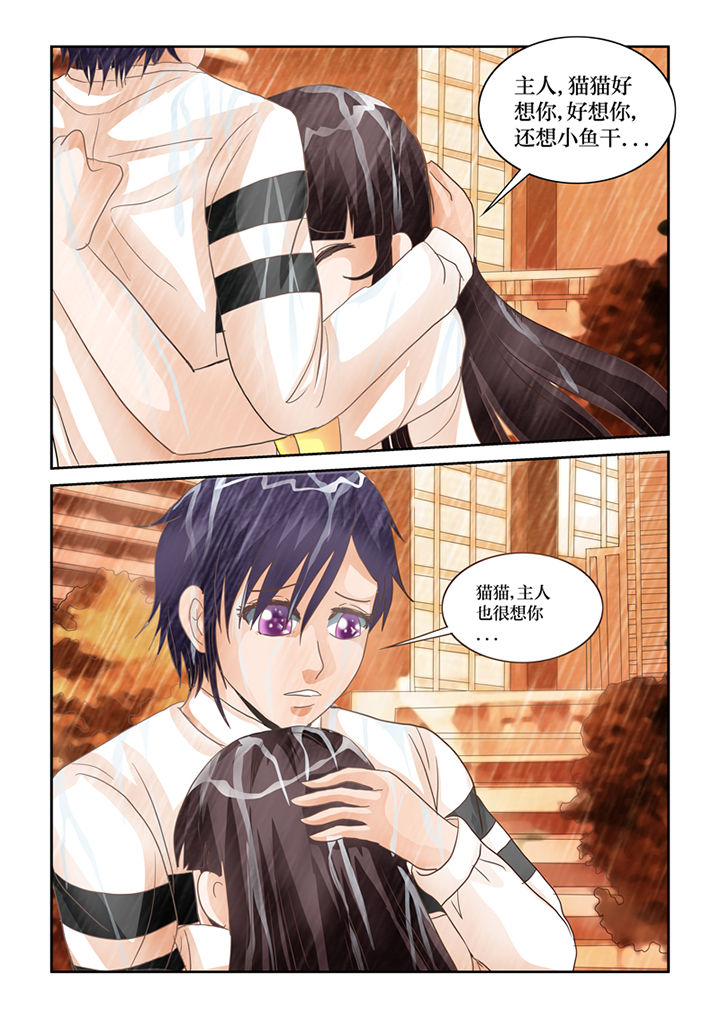 吾家猫猫大人漫画,第63章：下雨了2图