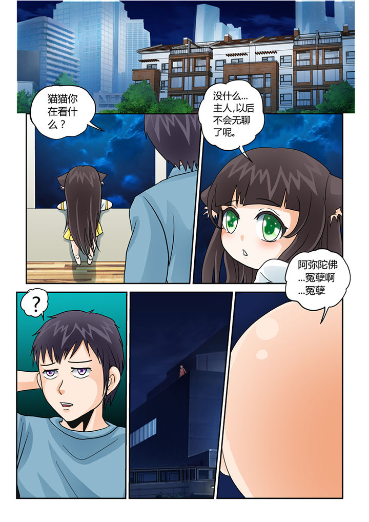 吾家猫猫大人漫画,第34章：学习外挂5图
