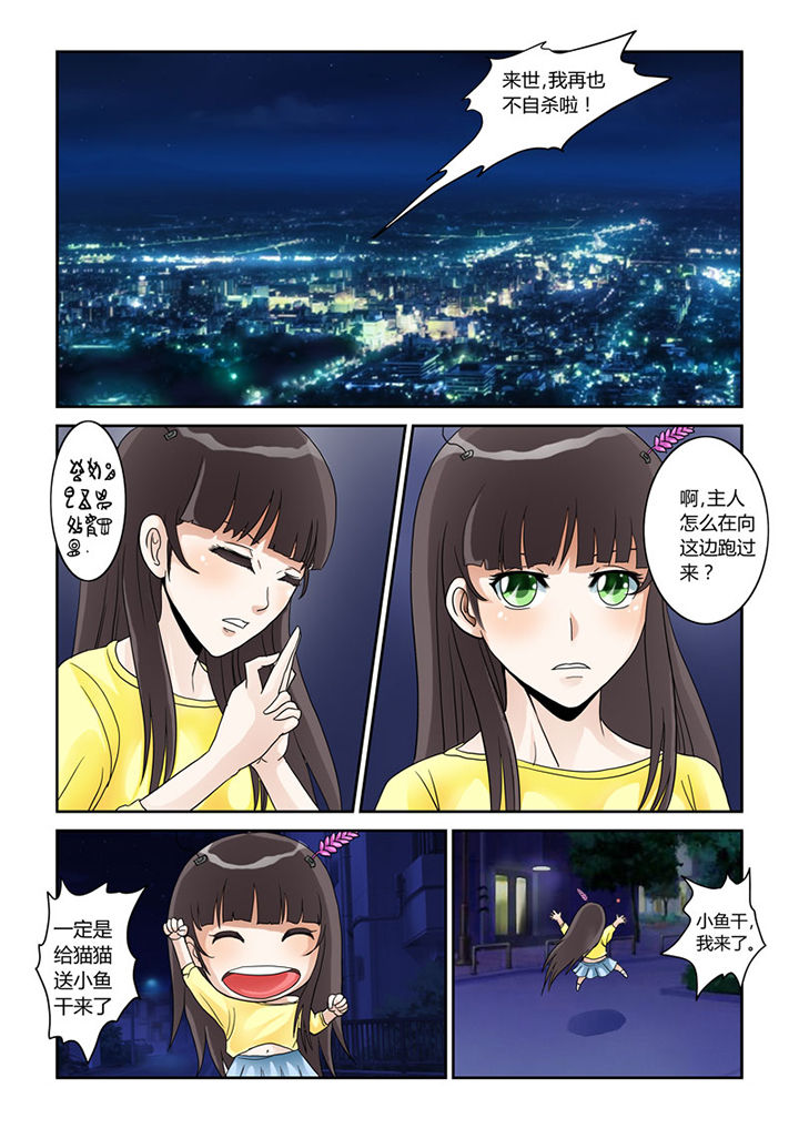 吾家猫漫画,第4章：猫猫丢了吗1图