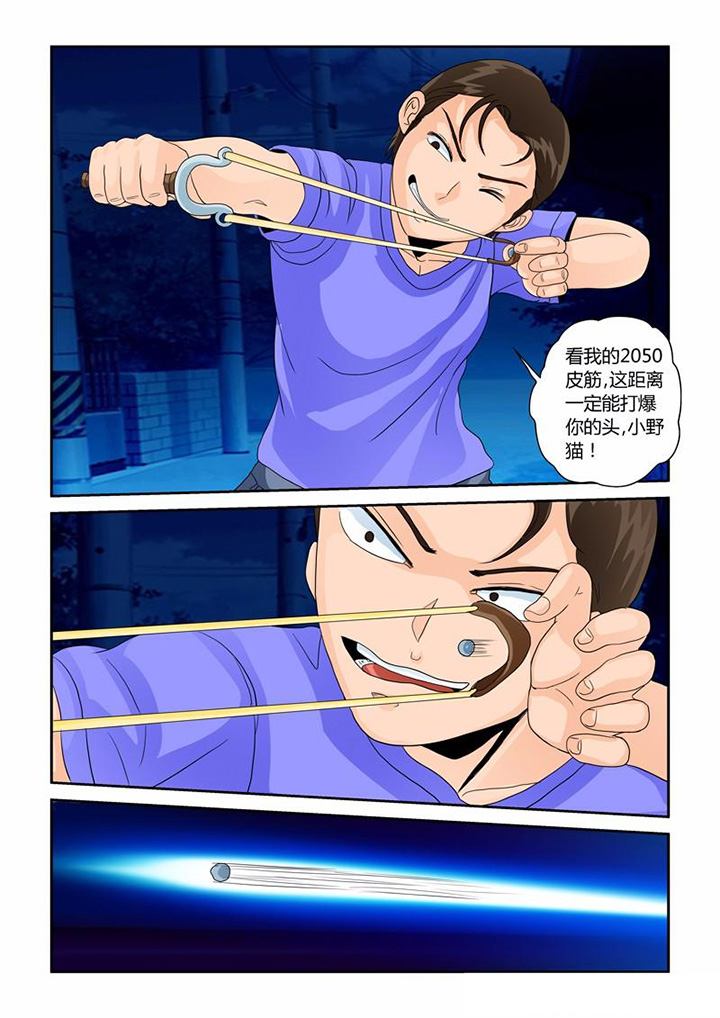 吾家猫猫大人漫画,第31章：业报4图