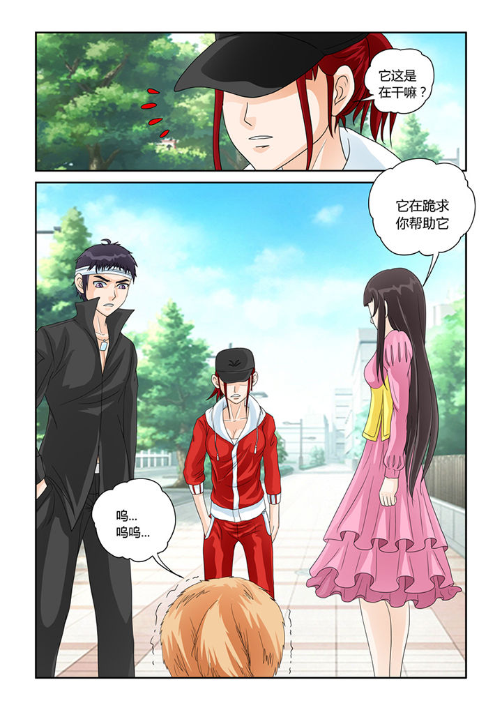 吾家猫猫大人漫画,第29章：怜悯2图