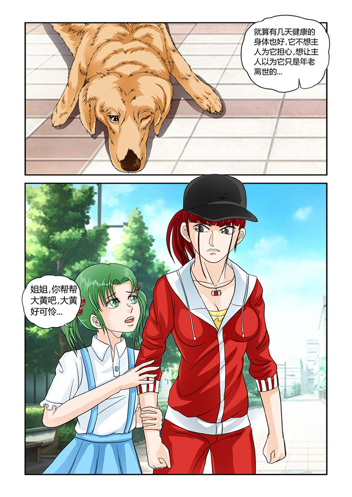 吾家猫猫大人漫画,第29章：怜悯3图