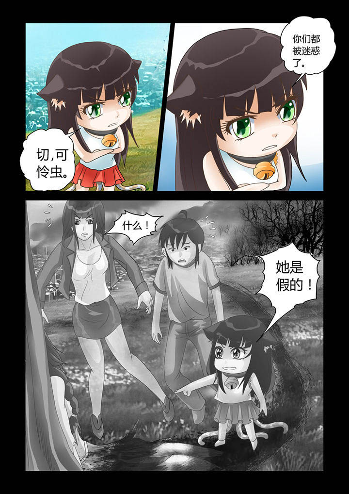 吾家猫漫画,第14章：记忆（下）5图