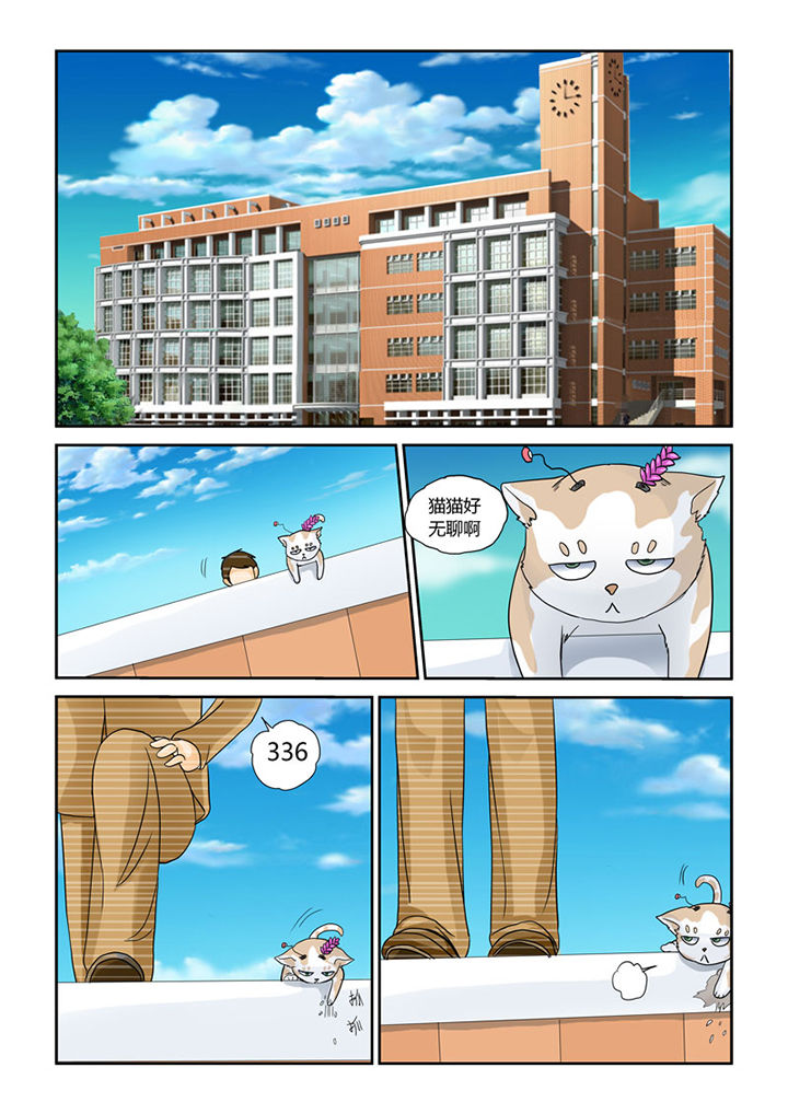 吾家猫猫大人漫画,第4章：猫猫丢了吗3图