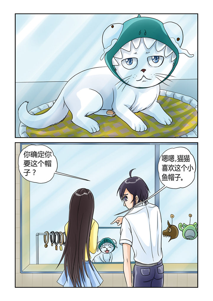 猫猫大人图片漫画,第5章：买买买1图