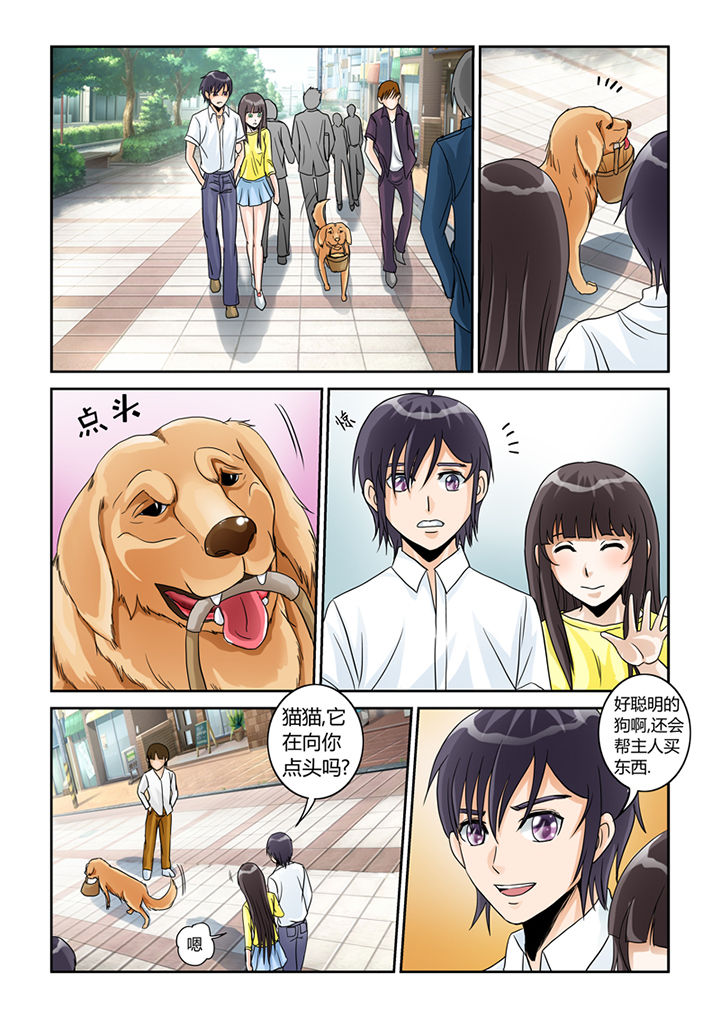 吾家猫猫大人漫画,第5章：买买买5图