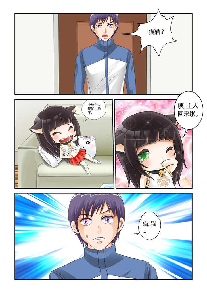吾家猫猫大人漫画,第54章：流浪猫2图