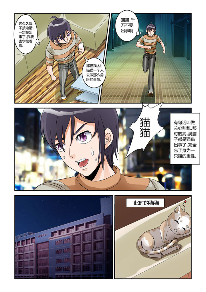 猫猫大人日文漫画,第4章：猫猫丢了吗2图