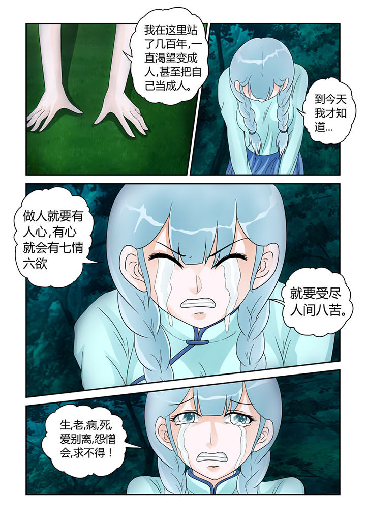 吾家猫猫大人漫画,第19章：明心见性4图