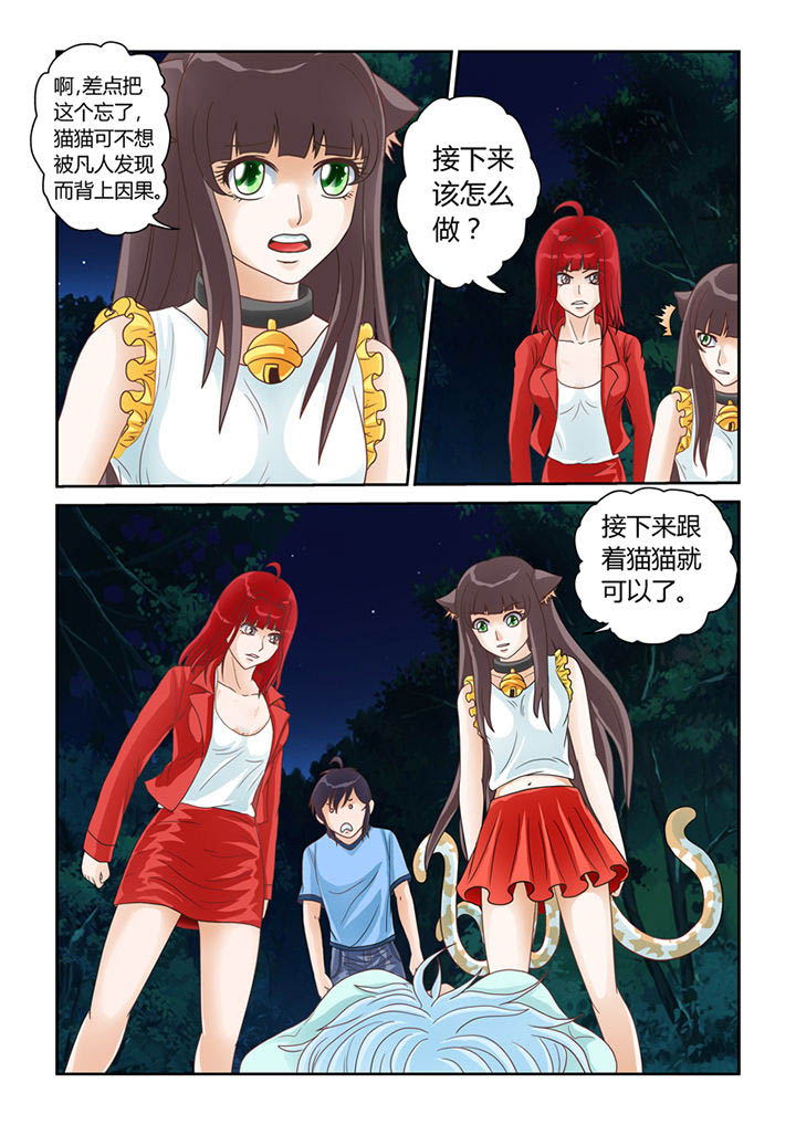 吾家猫猫大人漫画,第12章：天地玄门开5图