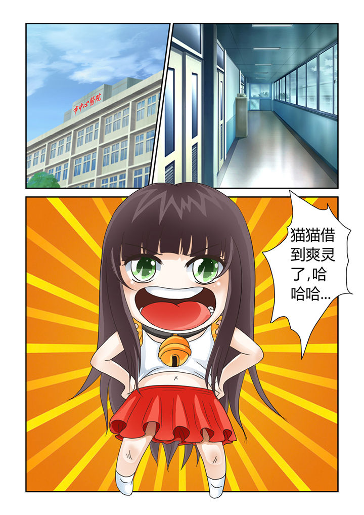 吾家猫漫画,第9章：借来的爽灵4图