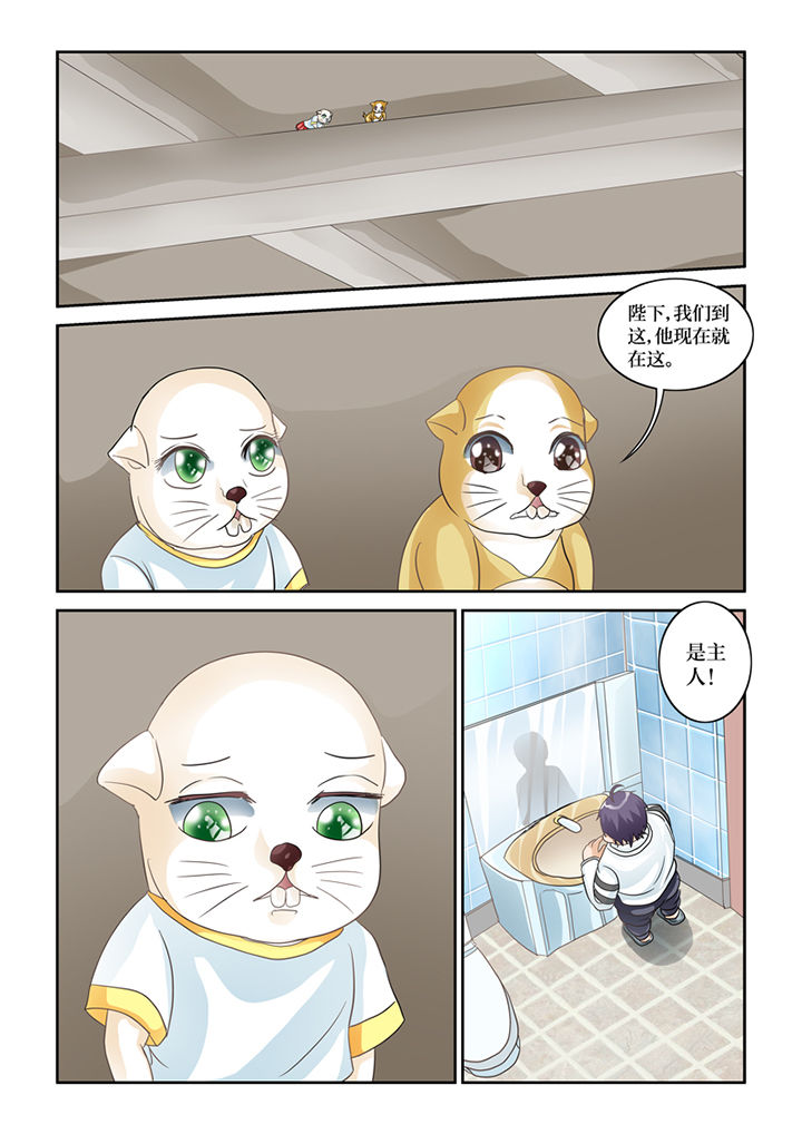 吾家猫猫大人漫画,第61章：转世书生3图