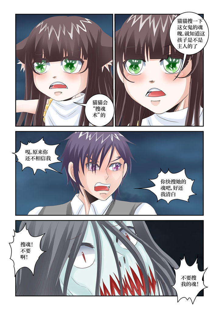 吾家猫漫画,第80章：懦弱3图