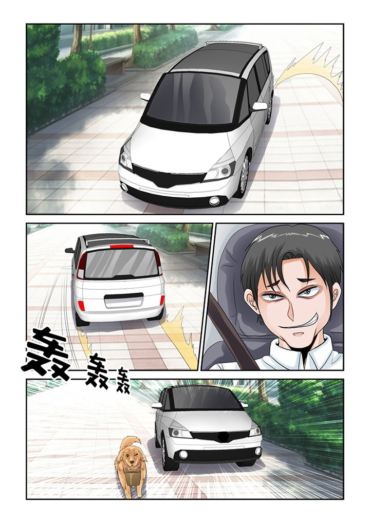 吾家猫猫大人漫画,第46章：魔猫2图