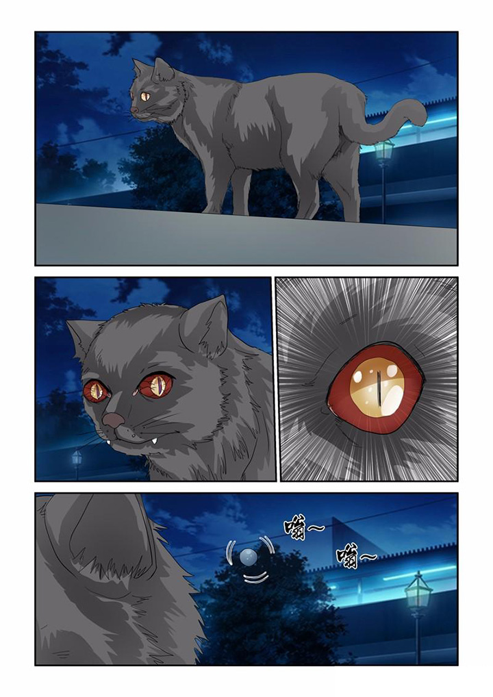 吾家猫猫大人漫画,第31章：业报5图