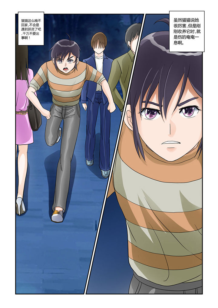 吾家猫漫画,第4章：猫猫丢了吗2图