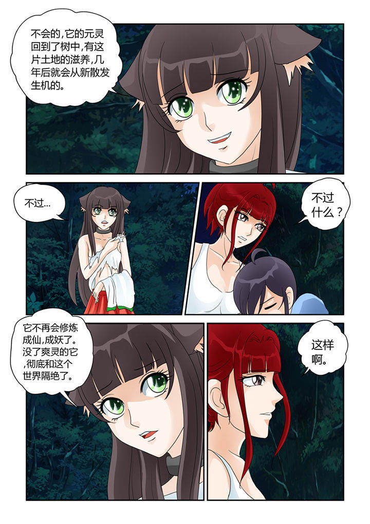 吾家猫漫画,第21章：树妖的馈赠2图