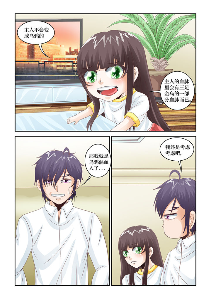 吾家猫猫大人漫画,第69章：混血乌鸦？5图