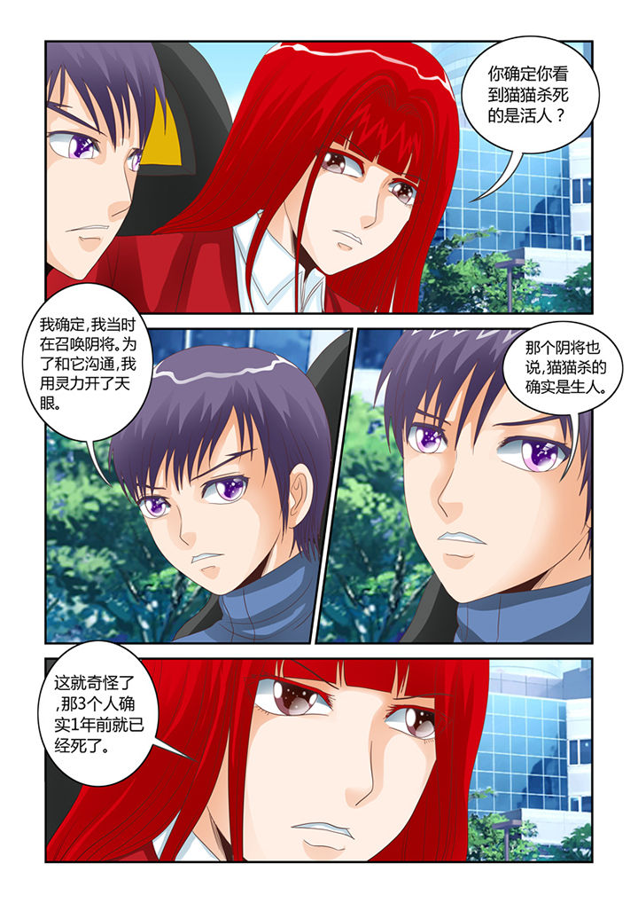 吾家猫猫大人漫画,第54章：流浪猫1图