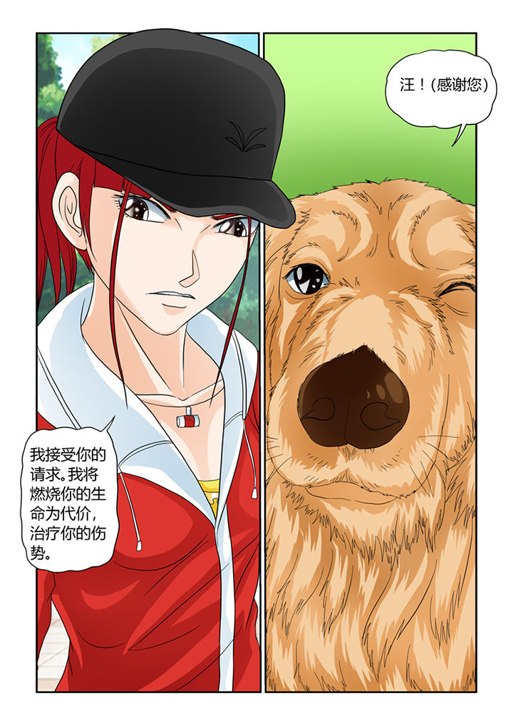 吾家猫猫大人漫画,第29章：怜悯4图