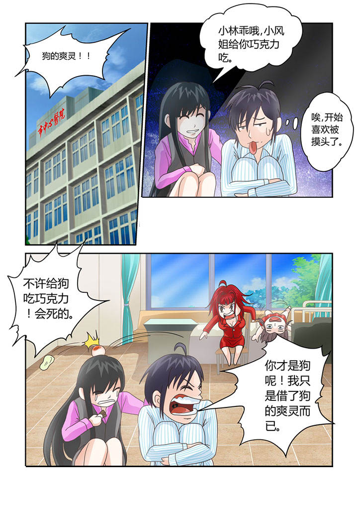 猫猫大人图片漫画,第10章：我不是狗！1图