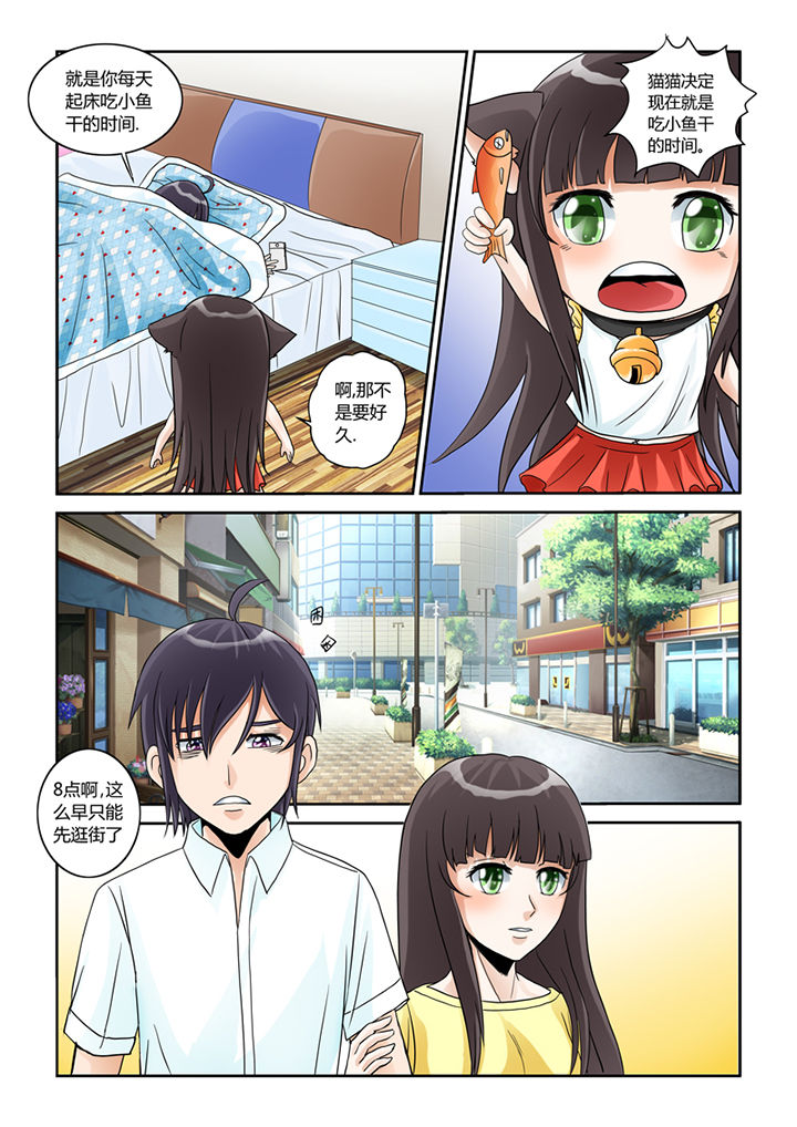 吾家猫猫大人漫画,第5章：买买买4图