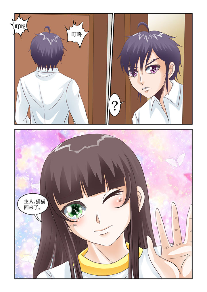 吾家猫猫大人漫画,第65章：激战5图