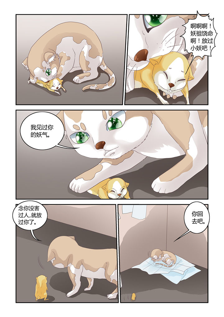 吾家猫猫大人漫画,第55章：魔之本性4图