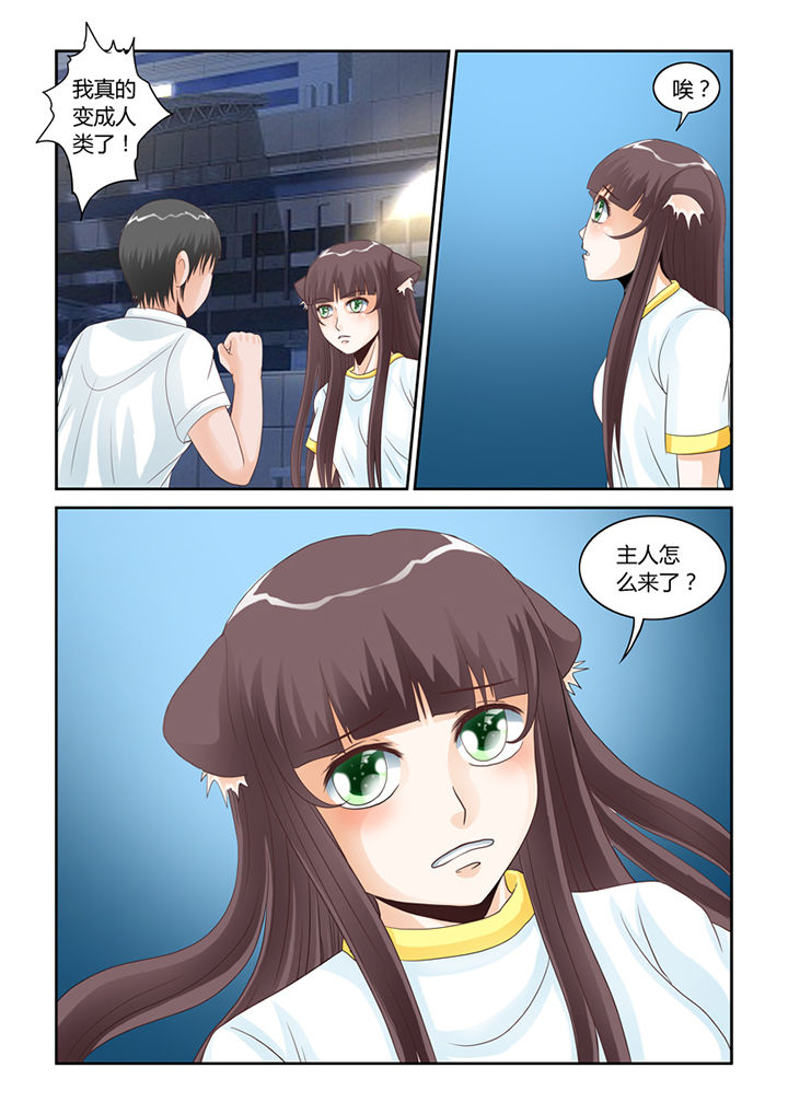 吾家猫猫大人漫画,第52章：我不要你了1图