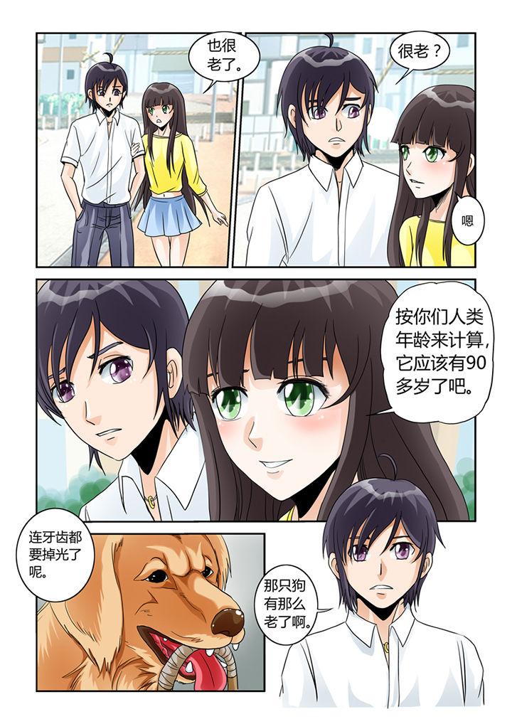 吾家猫猫大人漫画,第5章：买买买1图