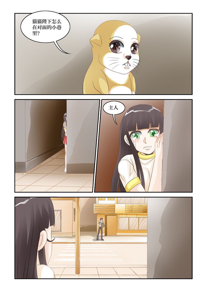 吾家猫猫大人漫画,第62章：误会5图